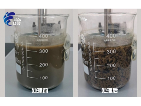 使用污泥改性調理劑對污泥進行深度脫水的好處-青島仕駿